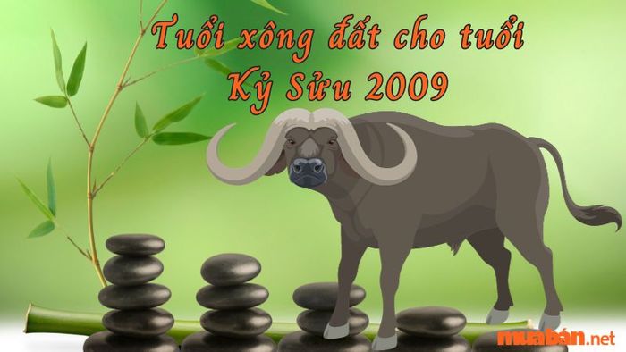 Tuổi xông đất cho gia chủ Kỷ Sửu 2009
