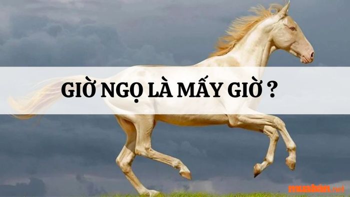 Giờ Ngọ là mấy giờ? Khám phá bí ẩn vận mệnh của người sinh giờ Ngọ
