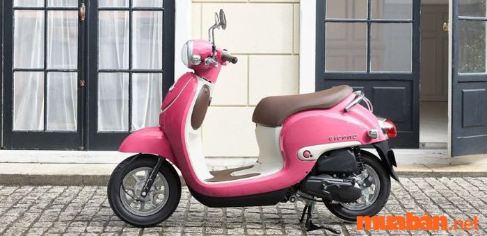 Xe tay ga dưới 25 triệu