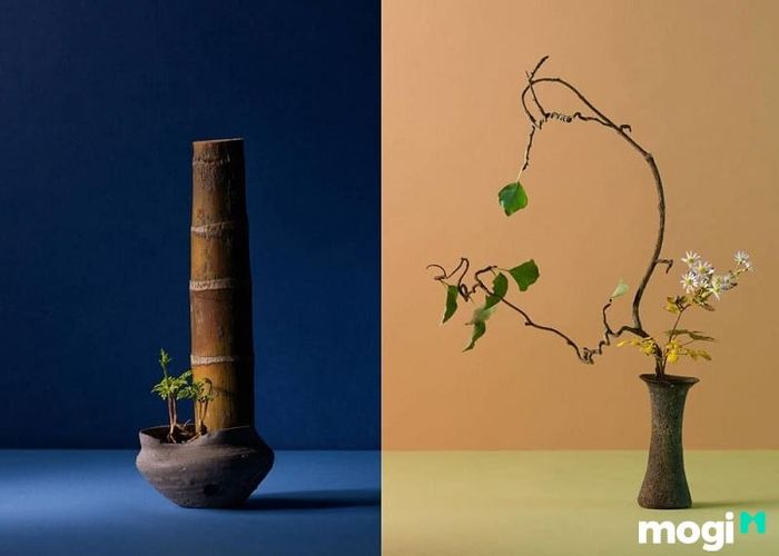 Wabi Sabi được thể hiện rõ nét trong nghệ thuật cắm hoa Ikebana, nơi vẻ đẹp được tìm thấy từ sự giản đơn, nhưng lại vô cùng sâu sắc và ấn tượng.