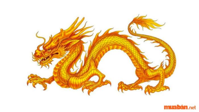 Vận mệnh người tuổi Thìn sinh vào giờ Ngọ chứa đựng những thử thách về sức khỏe, nhưng nhờ vào năng lực và ý chí kiên cường, họ vẫn có thể vượt qua và gặt hái thành công trong công việc.