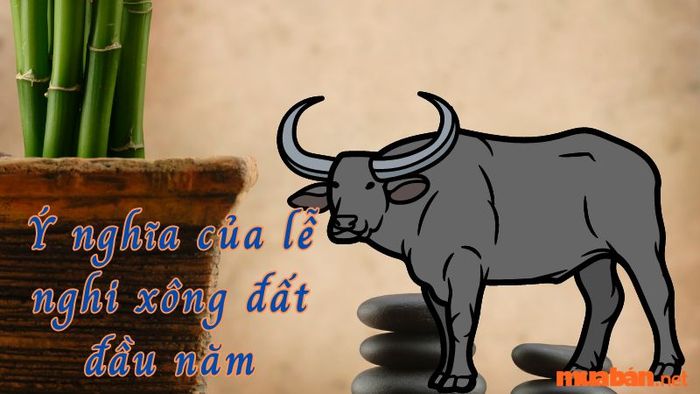 Ý nghĩa của việc xem tuổi xông đất