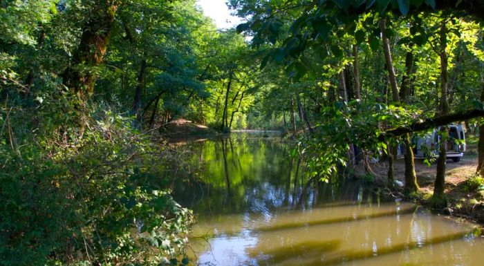 The tranquil surroundings of Hirkan National Park.