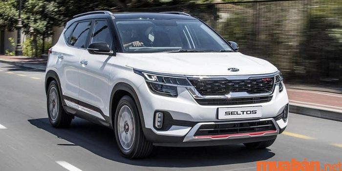 Các thuật ngữ cơ bản trong phong thủy âm trạch giúp ta hiểu rõ hơn về ảnh hưởng của môi trường xung quanh mộ phần đối với vận khí gia đình.