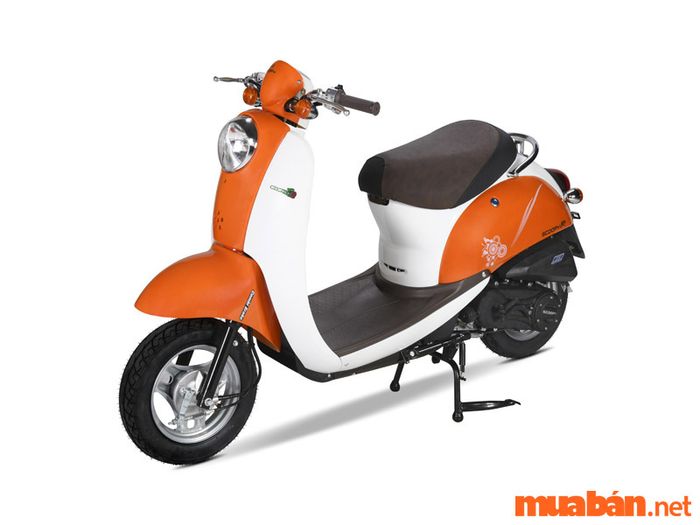 Xe tay ga dưới 25 triệu
