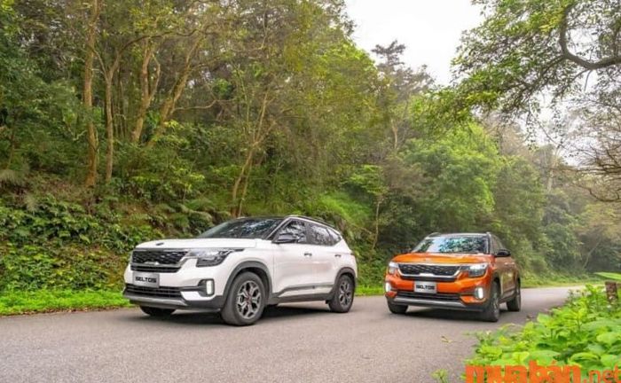 Có nên lựa chọn Kia Seltos?