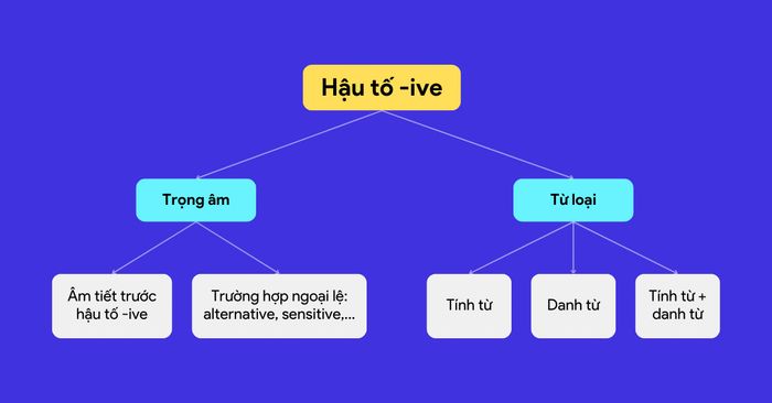 Hậu tố -ive là tính từ hay danh từ?