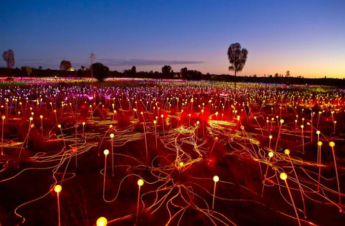 The mesmerizing Field of Light installation at Uluru.