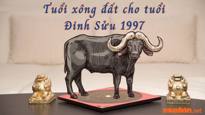 Tuổi xông đất cho gia chủ tuổi Đinh Sửu 1997