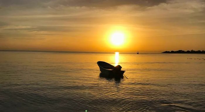 Jamaican rum stays true to traditional distillation methods.