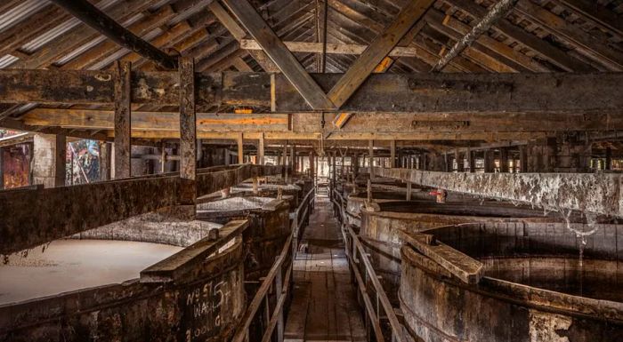 At Long Pond Distillery, you’ll find wooden fermenters still in use, a choice that stands in contrast to the more common stainless steel fermenters found in most distilleries today.