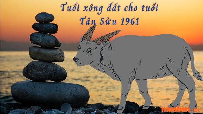 Lựa chọn tuổi xông đất cho gia chủ Tân Sửu 1961