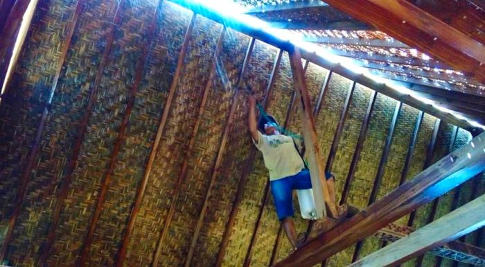 A local craftsman applies a mold-resistant treatment to the bedek, the traditional rattan-thatch ceiling.