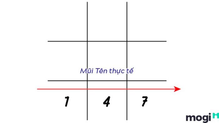 Biểu đồ ngày sinh của người mang con số 7 có thể tiết lộ nhiều điều về con đường đời của họ.