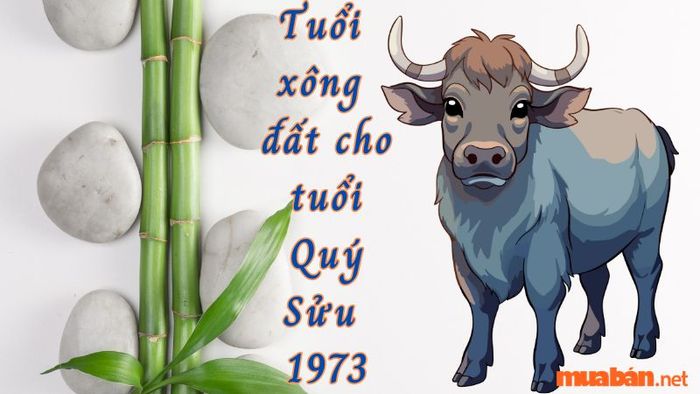 Tuổi xông đất phù hợp cho gia chủ tuổi Quý Sửu 1973