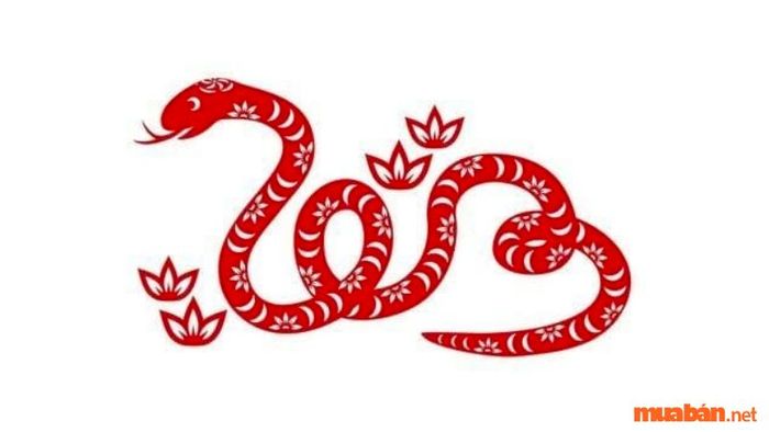Vận mệnh người tuổi Tỵ sinh vào giờ Ngọ phản ánh sự kết hợp giữa tài năng, sự khéo léo và sự thấu hiểu người khác, tạo nên một cuộc sống thành công và hạnh phúc.