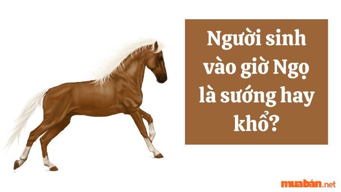 Liệu số phận của người sinh vào giờ Ngọ có phải là một cuộc sống sung túc hay đầy thử thách?