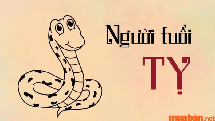 Vận mệnh người tuổi Tỵ sinh vào giờ Tỵ
