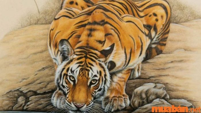 Giờ Dần là bao nhiêu giờ, và thuộc vào canh nào trong hệ thống canh giờ?