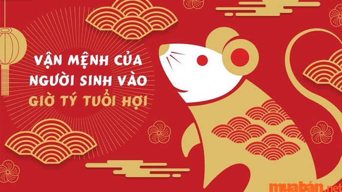 Vận mệnh của người sinh vào giờ Tý tuổi Hợi