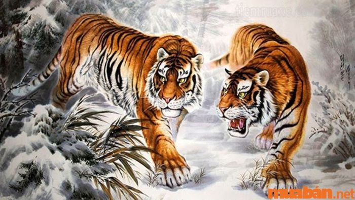 Giờ Dần là mấy giờ? Phân tích chi tiết vận mệnh của người sinh vào đầu giờ Dần