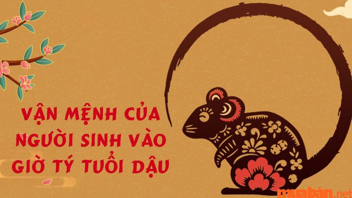 Vận mệnh của người sinh vào giờ Tý tuổi Dậu