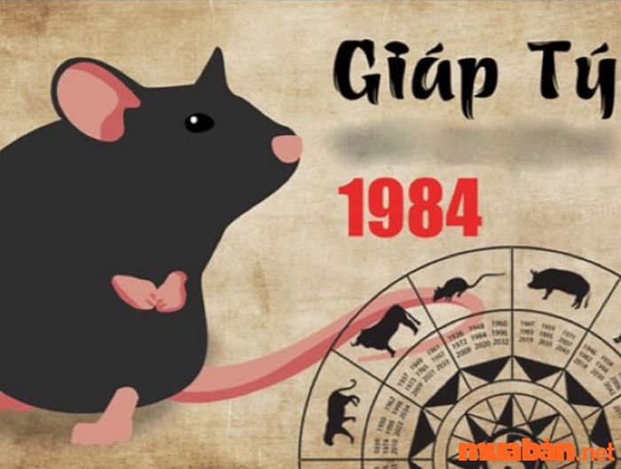 Người tuổi Giáp Tý 1984 có con giáp là chuột.