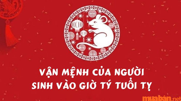 Vận mệnh của người sinh vào giờ Tý tuổi Tỵ