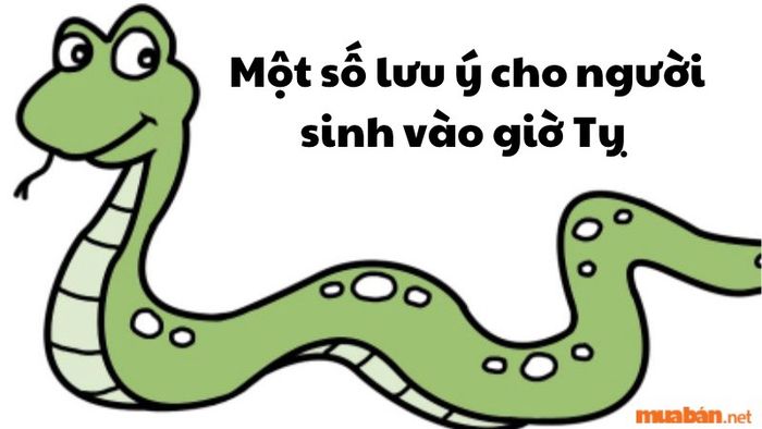 Một số điều cần lưu ý cho người sinh vào giờ Tỵ