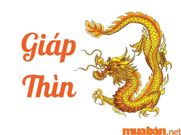 Tính cách của người tuổi Giáp Thìn năm 2024