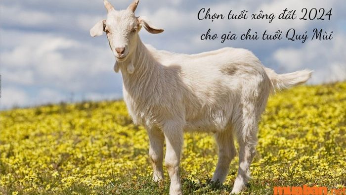 Lựa chọn tuổi xông đất phù hợp cho gia chủ tuổi Quý Mùi năm 2024