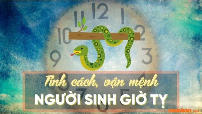 Nam giới sinh vào giờ Tỵ có những đặc điểm nổi bật nào?