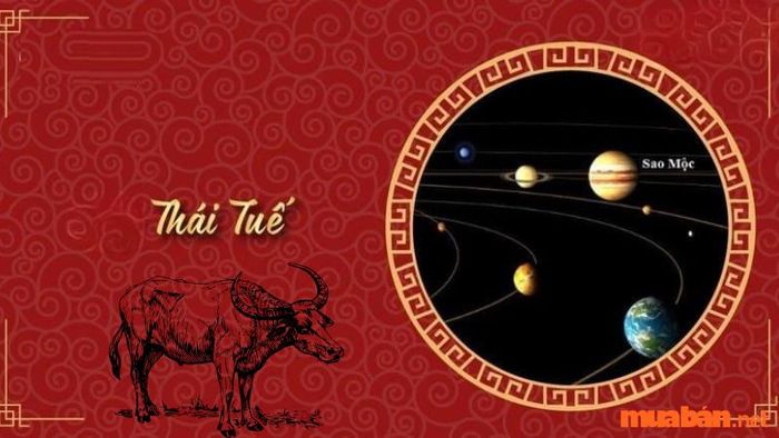 Trong năm 2024, tuổi Quý Sửu không gặp phải ảnh hưởng xấu từ Thái Tuế.