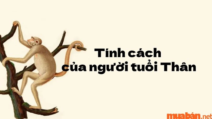 Sự sáng tạo và linh hoạt chính là một trong những yếu tố mạnh mẽ giúp người tuổi Thân vượt qua thử thách và đạt được thành công.