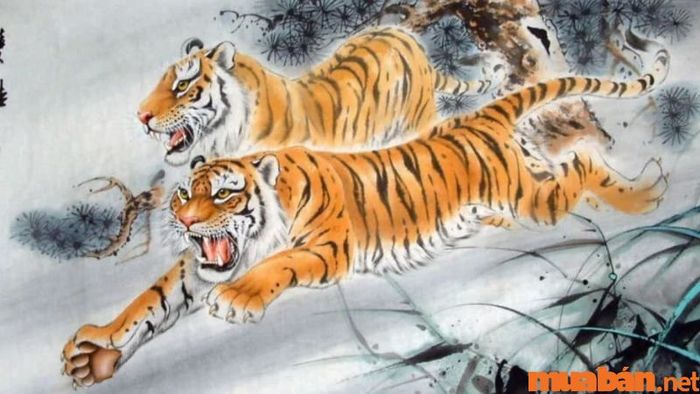 Giờ Dần là khoảng mấy giờ? Phân tích chi tiết vận mệnh của người sinh vào cuối giờ Dần