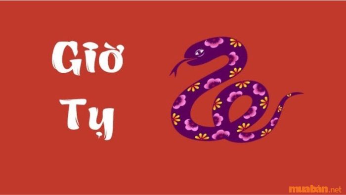 Phụ nữ sinh vào giờ Tỵ có những đặc điểm gì nổi bật?