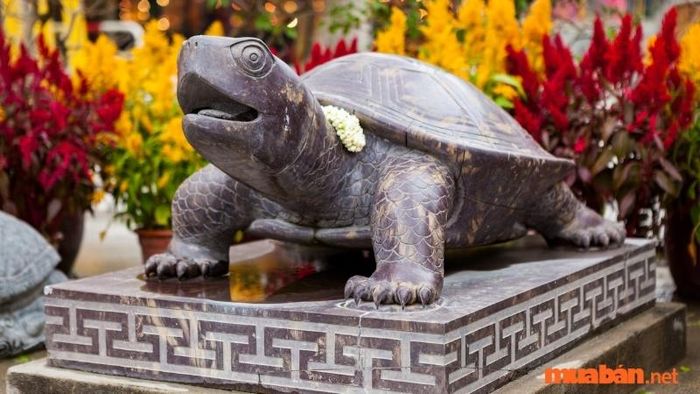 Đặt tượng rùa quay mặt ra ngoài và để phía sau lưng giúp bảo vệ và củng cố sự an lành cho ngôi nhà.