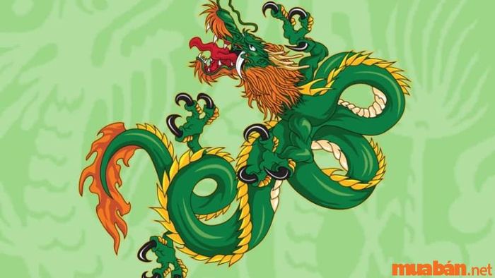 Sinh năm 2024 hợp với màu gì và kỵ màu gì?