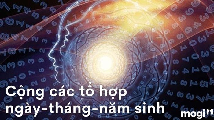 Cộng Dồn Các Con Số Từ Ngày, Tháng, Năm Sinh