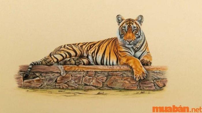 Giờ Dần là mấy giờ? Những đặc điểm của nữ mệnh sinh vào giờ Dần