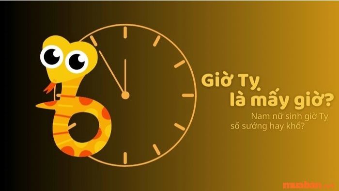 Giờ Tỵ là lúc nào trong ngày? Cùng tìm hiểu vận mệnh của những người sinh vào giờ này.