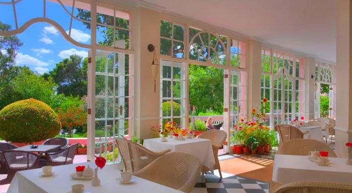 For a luxurious afternoon tea experience near Company's Garden, the Mount Nelson Hotel is the ultimate destination.