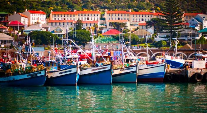 Nearby Kalk Bay is home to the popular Dalebrook Tidal Pool, a family-friendly spot loved by locals and visitors alike.