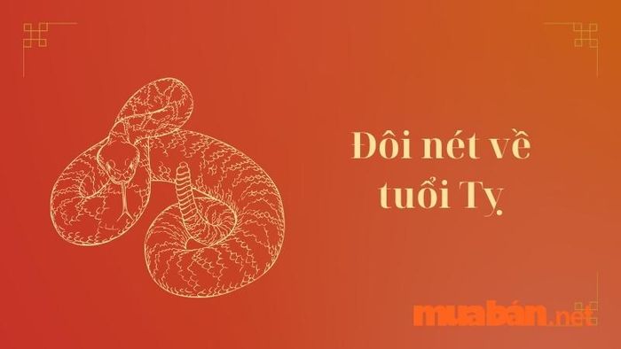 Tìm hiểu về người tuổi Tỵ và những đặc điểm nổi bật của họ.