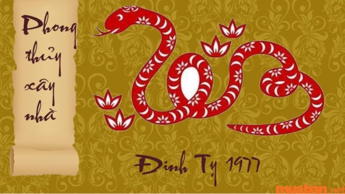 Xem tuổi Đinh Tỵ xây nhà năm 2024 – Hướng dẫn chi tiết cách mượn tuổi làm nhà