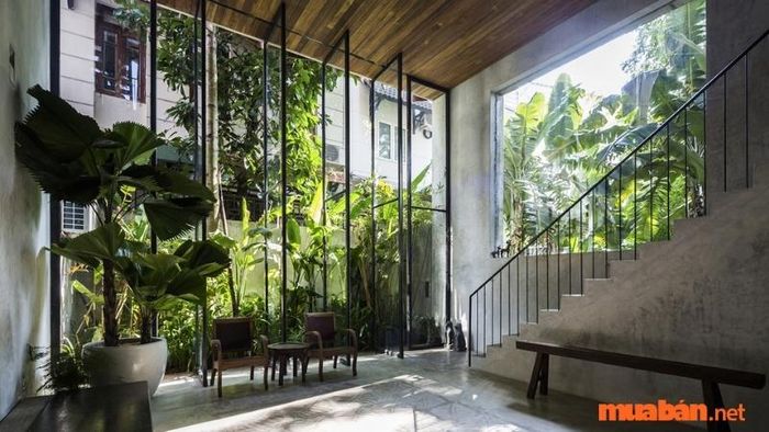 Sắp xếp cây xanh trong không gian phòng giúp thu hút năng lượng dương, tạo sự tươi mới và sức sống cho ngôi nhà.