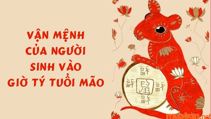 Vận mệnh của người sinh vào giờ Tý tuổi Mão