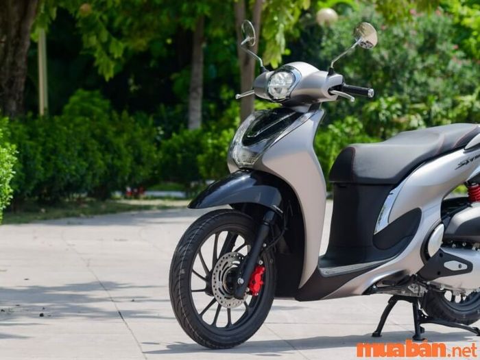 Xe không khởi động được sau thời gian dài có thể là do xăng không xuống bình con.