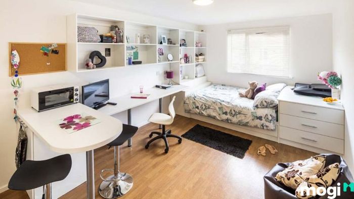 Mẫu decor phòng trọ không gác phong cách 2
