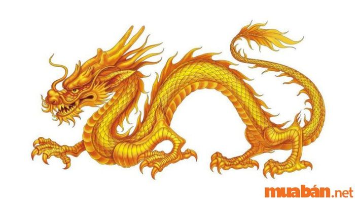 Người tuổi Thìn sinh vào giờ Tuất có vận mệnh như thế nào?